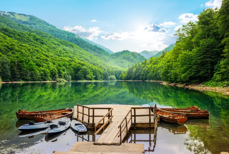 biogradska gora montenegro