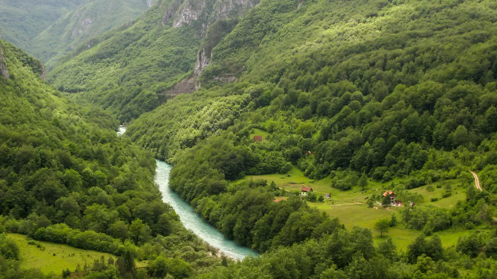 Cosa vedere al Canyon Tara 4 canyon tara montenegro 3