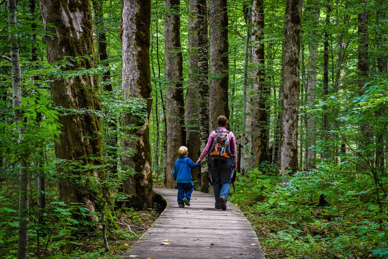 Parco Nazionale Biogradska Gora 9 Cosa fare al Parco Nazionale Biogradska Gora