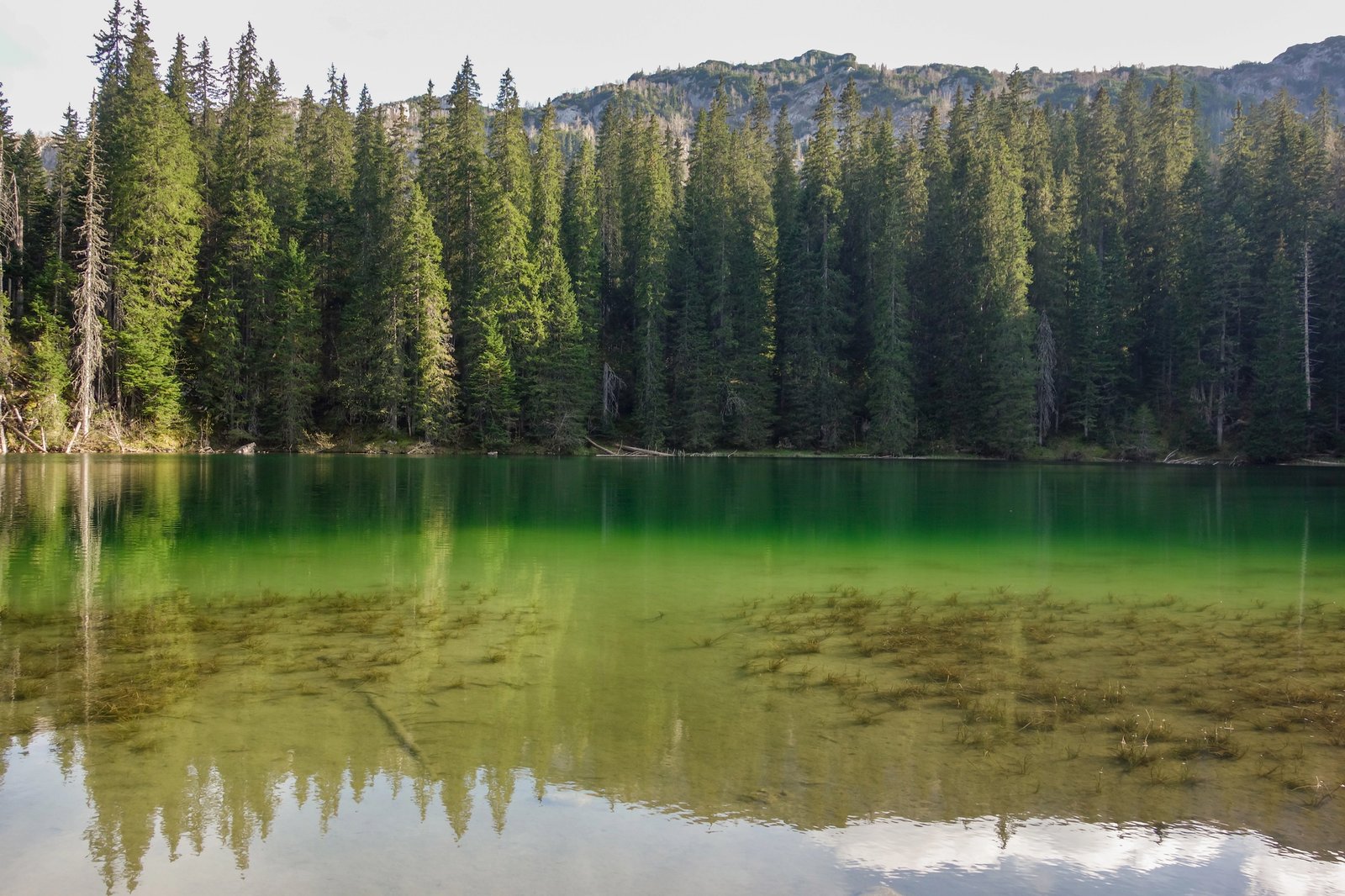 Žabljak: cosa vedere tra laghi glaciali e le vette del Durmitor 14 Lago Zminje Montenegro