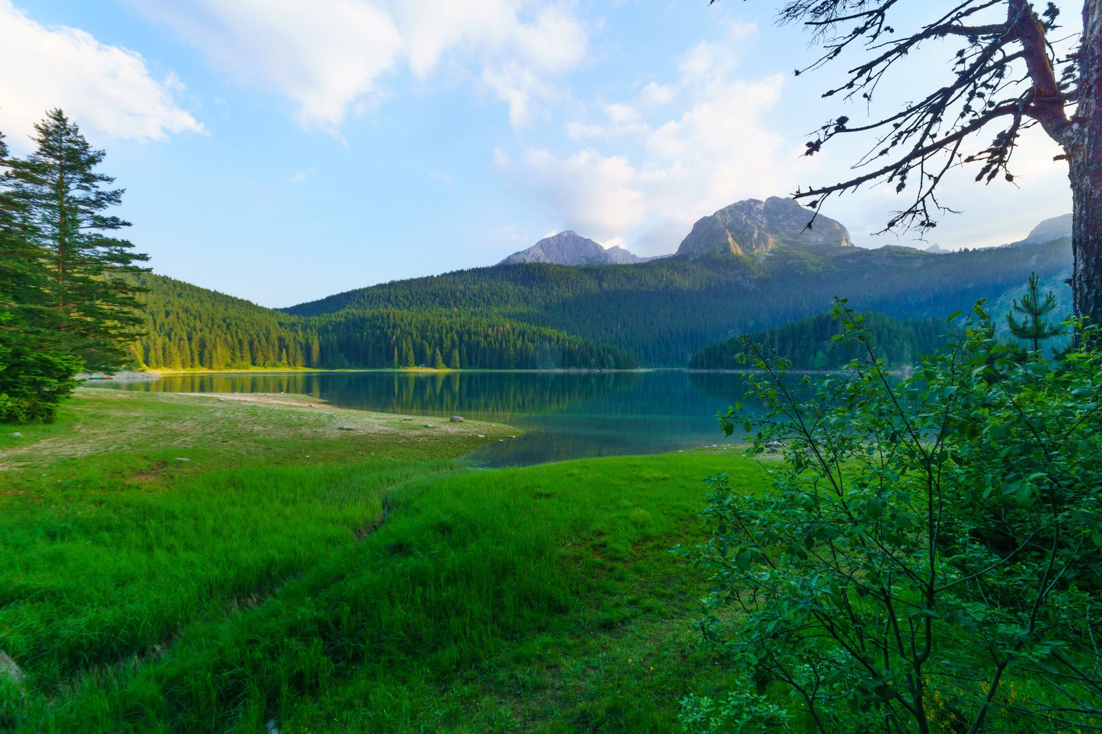 Cosa vedere al Crno Jezero, il famoso "lago nero" del Montenegro 4 cosa vedere crno jezero