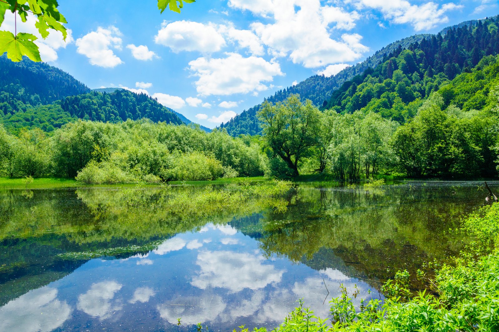 Cosa fare in Montenegro: dai fiordi delle bocche di Cattaro alle cime selvagge del Durmitor 26 lago biograd montenegro