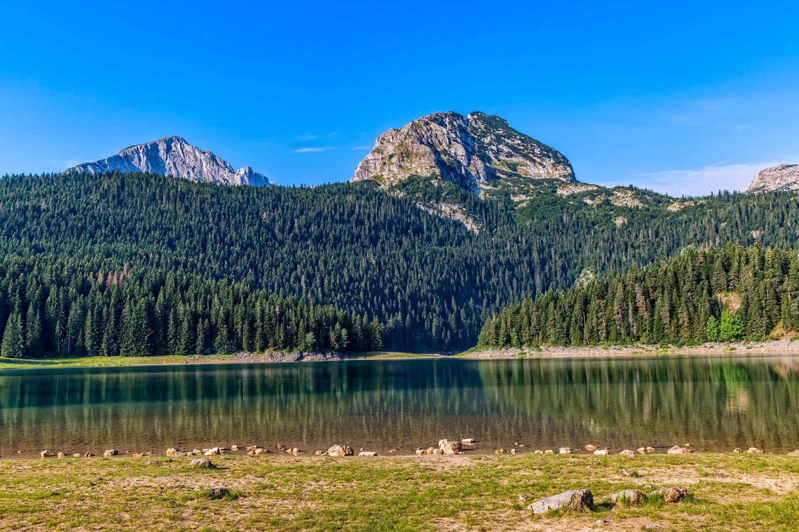 Cosa vedere al Crno Jezero, il famoso "lago nero" del Montenegro 5 monte meded crno jezero montenegro