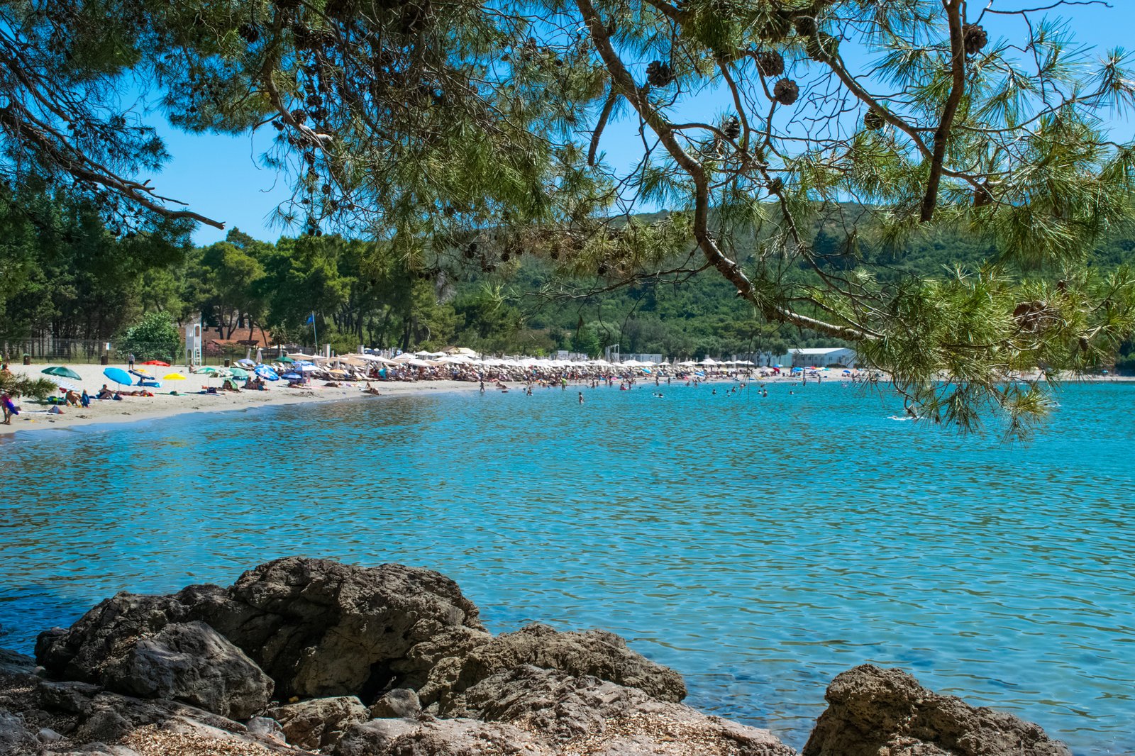 Cosa vedere a Tivat, la città glamour di Porto Montenegro 9 plavi horizonti tivat montenegro