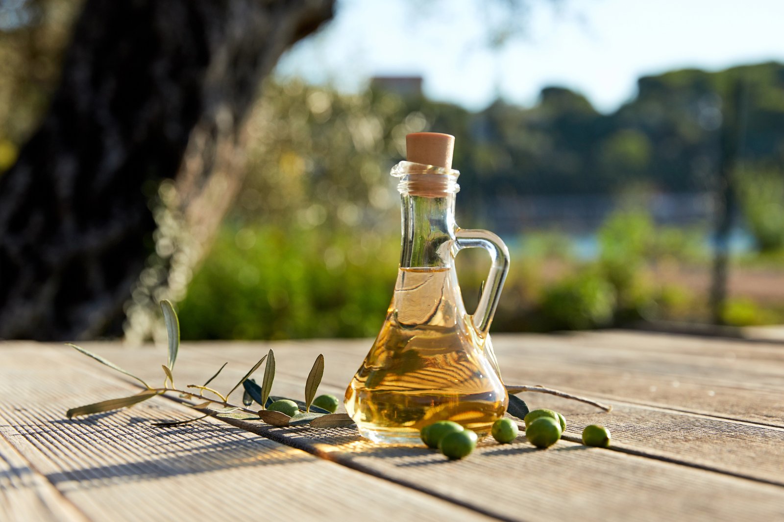 olio di oliva montenegro
